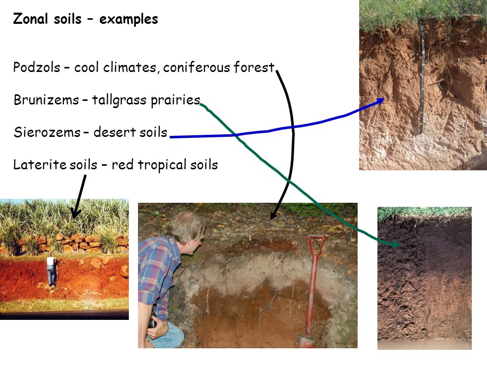 Soil Classification And Soil Maps Ppt Video Online Download