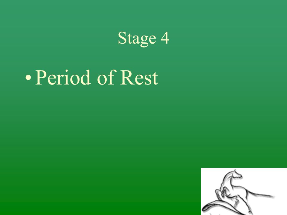 Stage 4 Period of Rest
