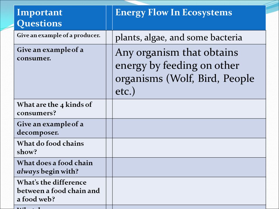 Energy Flow In Ecosystems Ppt Video Online Download