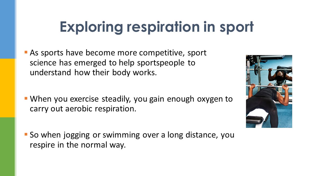 Exploring respiration in sport - ppt video online download