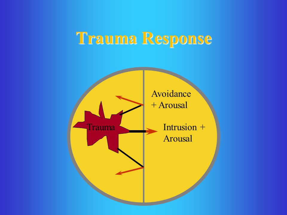 Trauma Response Avoidance + Arousal Trauma Intrusion + Arousal