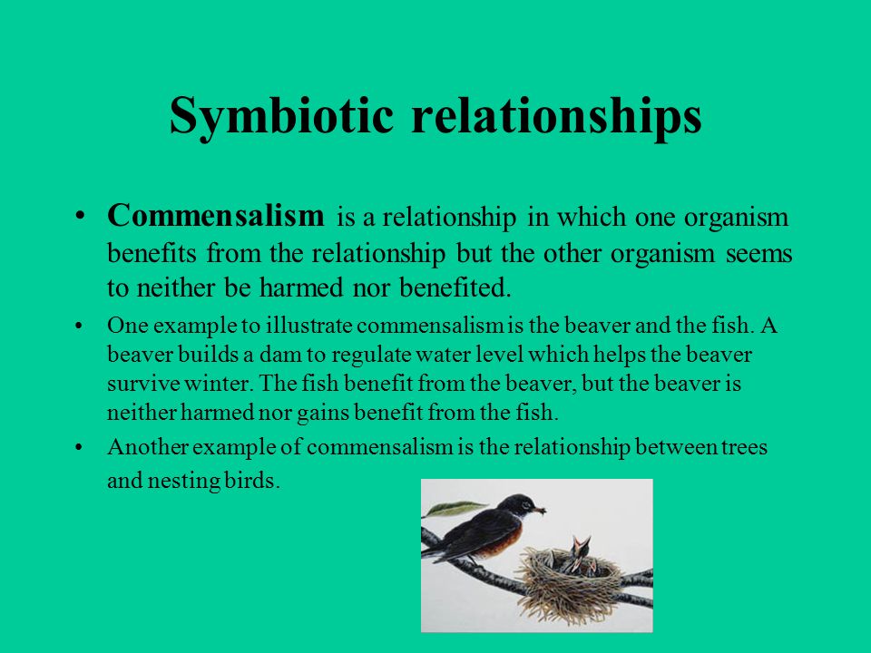 Symbiotic relationships
