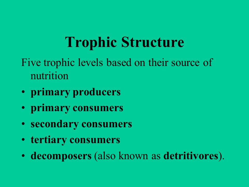 Trophic Structure Five trophic levels based on their source of nutrition. primary producers. primary consumers.