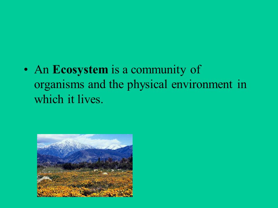 An Ecosystem is a community of organisms and the physical environment in which it lives.