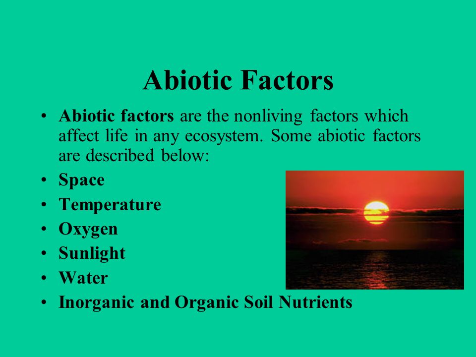 Abiotic Factors Abiotic factors are the nonliving factors which affect life in any ecosystem. Some abiotic factors are described below: