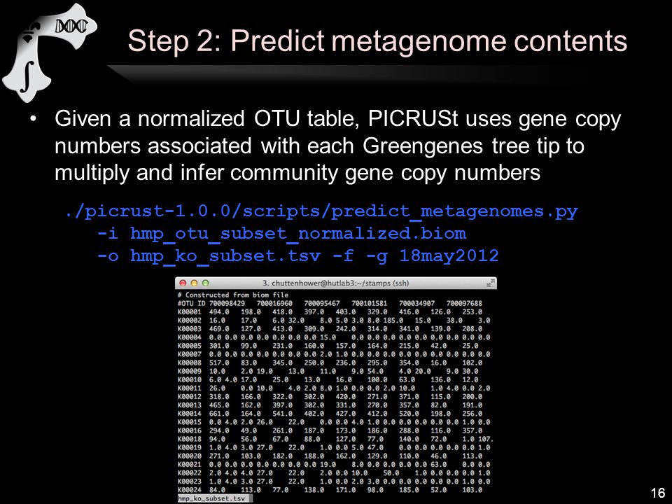 Step 2: Predict metagenome contents
