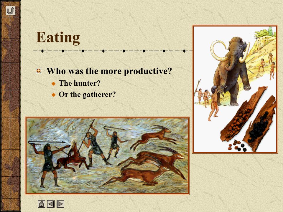 Eating Who was the more productive The hunter Or the gatherer