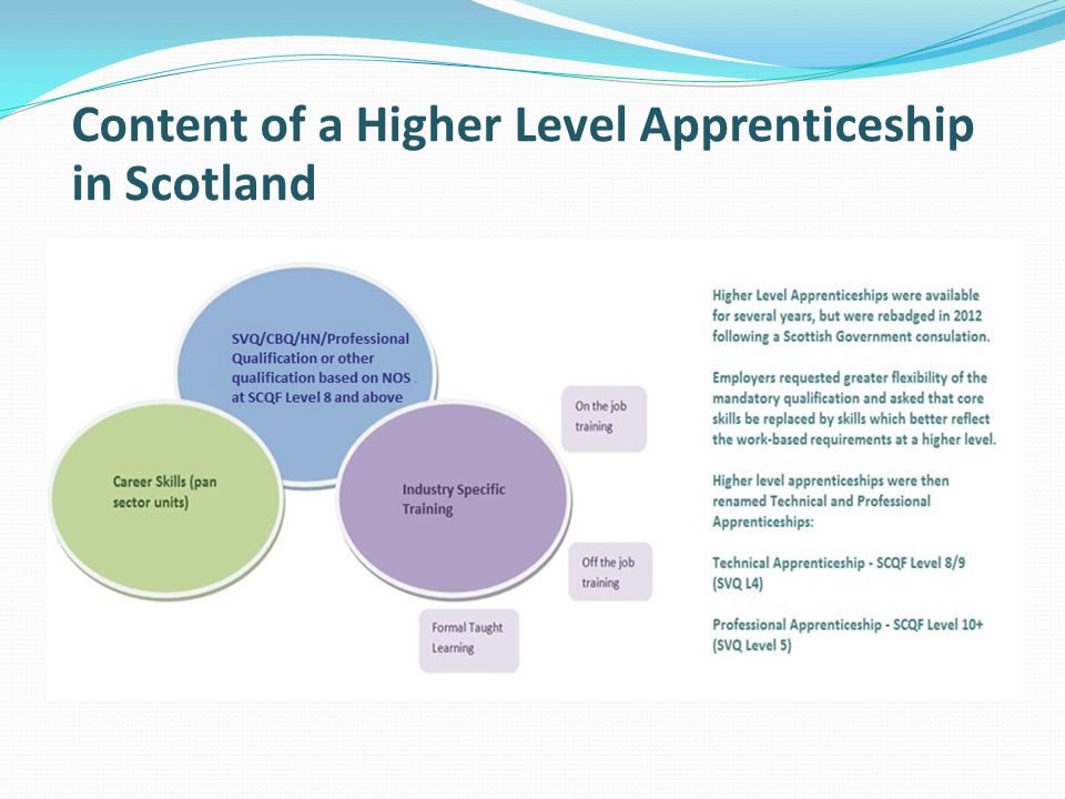 Content of a Higher Level Apprenticeship in Scotland