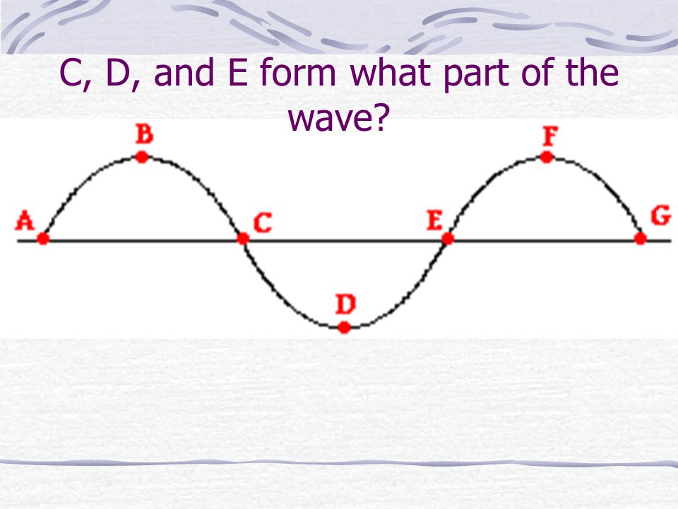 C, D, and E form what part of the wave