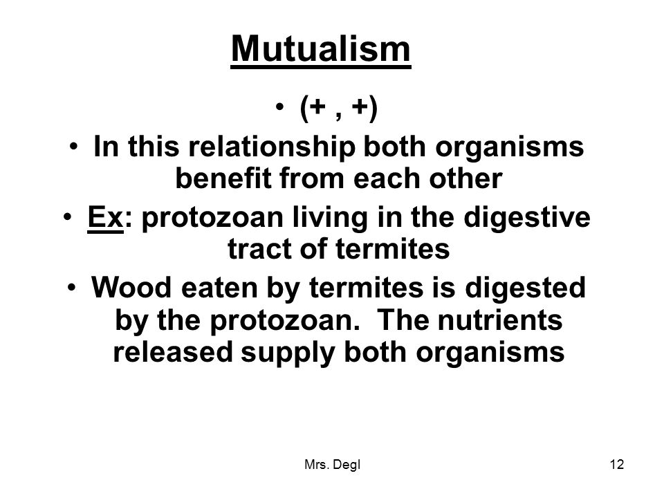 Mutualism (+ , +) In this relationship both organisms benefit from each other. Ex: protozoan living in the digestive tract of termites.