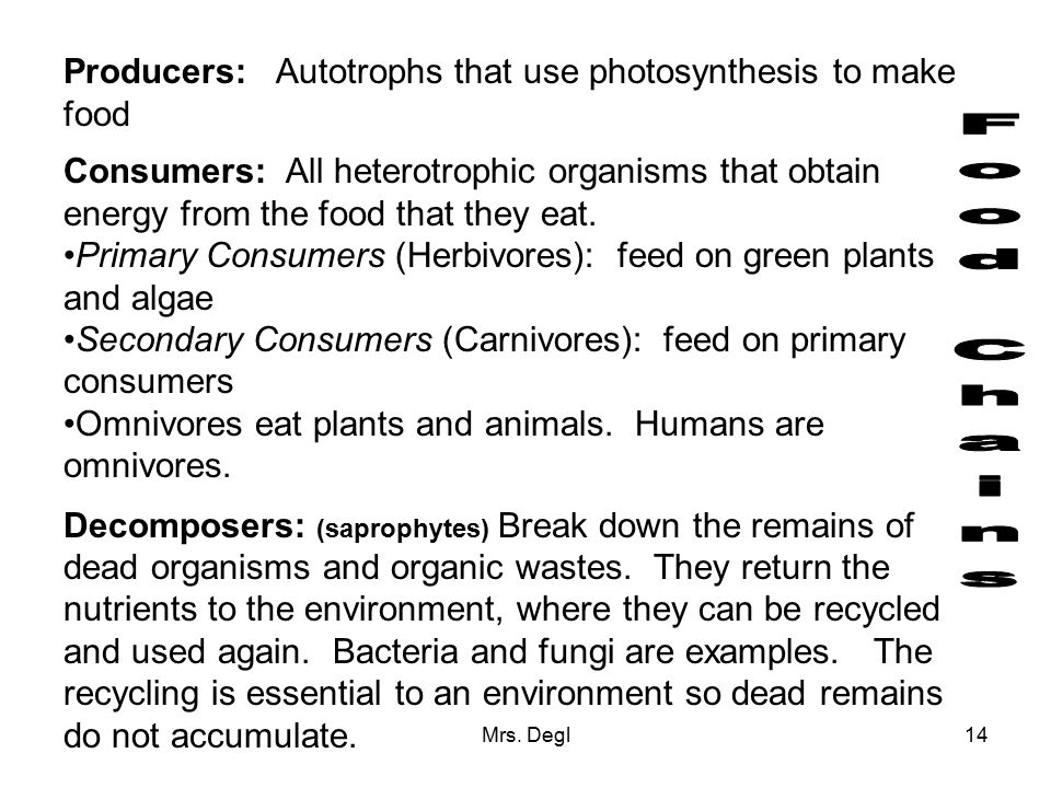 Food Chains Producers: Autotrophs that use photosynthesis to make food