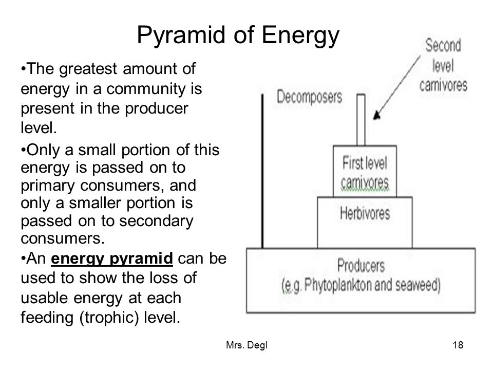 Pyramid of Energy The greatest amount of energy in a community is present in the producer level.