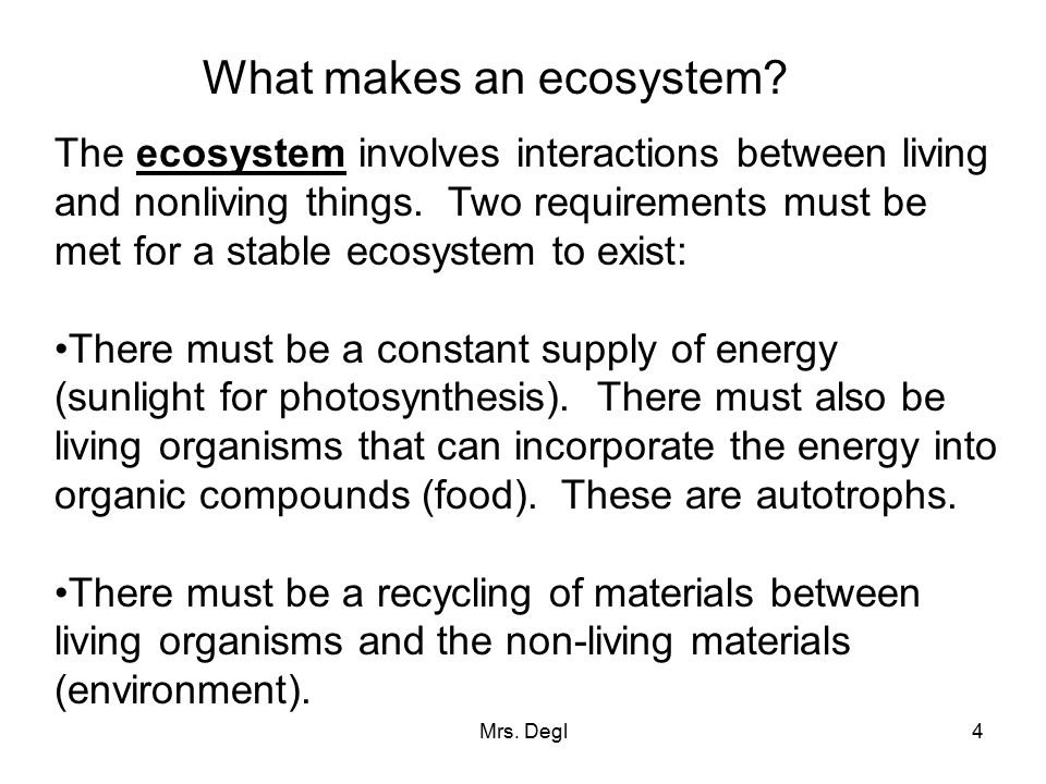 What makes an ecosystem