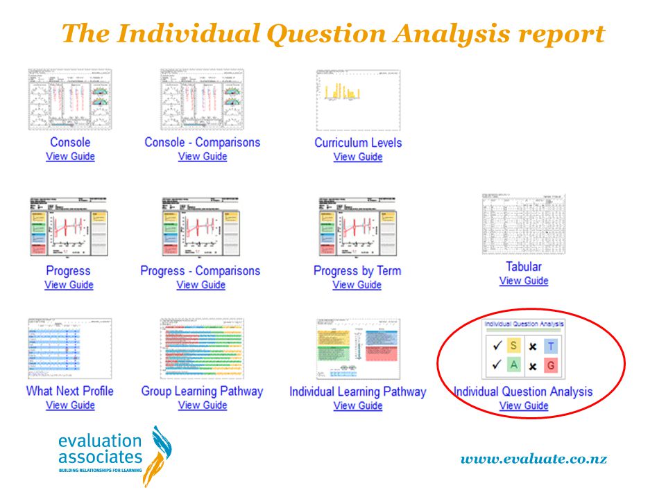 The Individual Question Analysis report