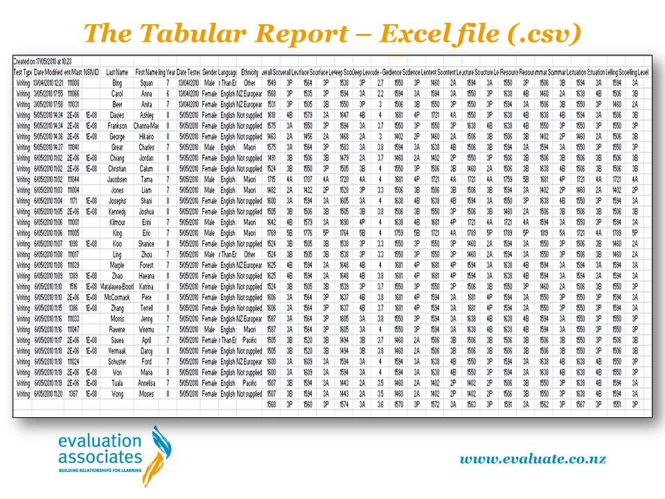 The Tabular Report – Excel file (.csv)