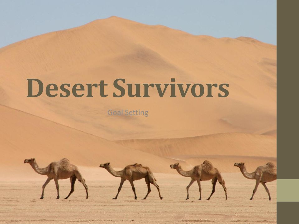 Desert Survivors Goal Setting