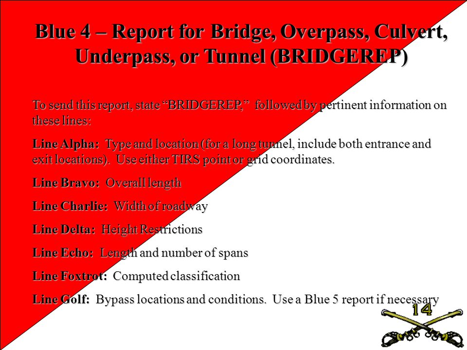 Blue 4 – Report for Bridge, Overpass, Culvert, Underpass, or Tunnel (BRIDGEREP)
