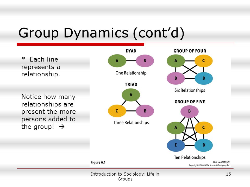 Group Dynamics (cont’d)