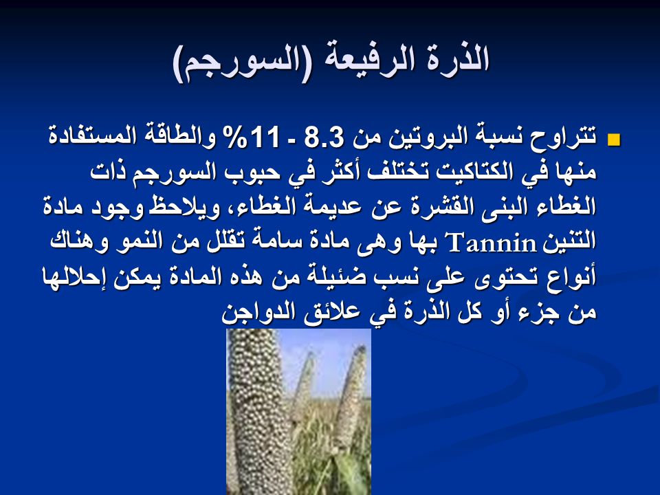 تقانات أعلاف الذرة الرفيعة