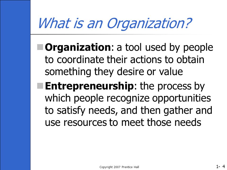 What is an Organization