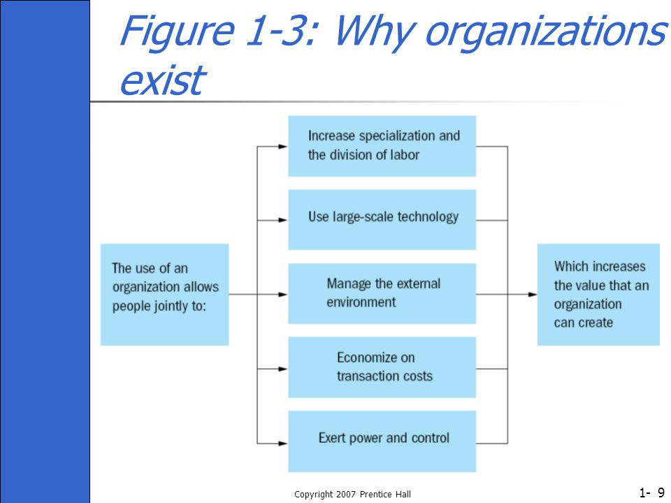 Figure 1-3: Why organizations exist