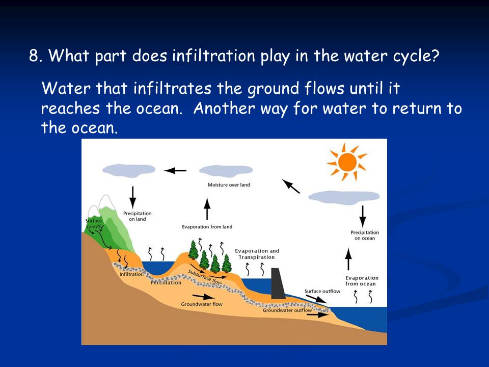 8. What part does infiltration play in the water cycle