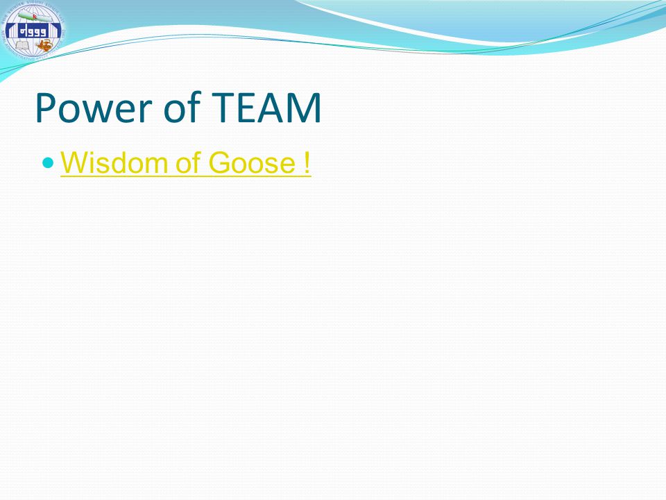 Power of TEAM Wisdom of Goose !