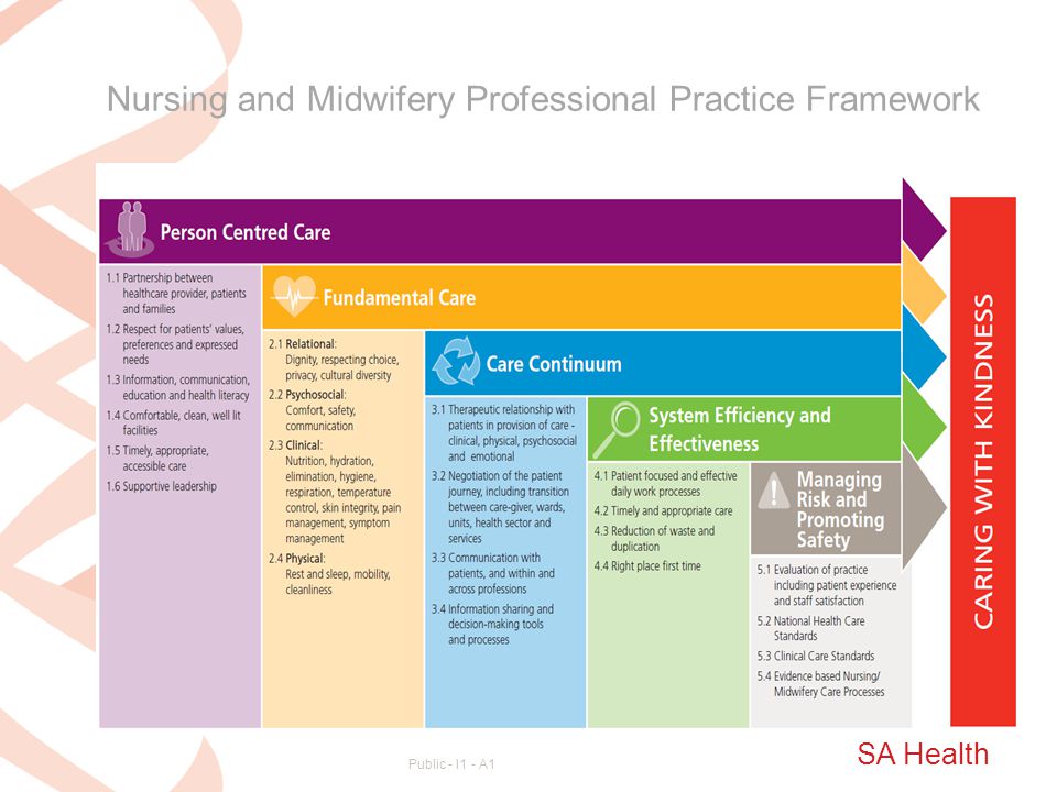 Nursing and Midwifery Professional Practice Framework