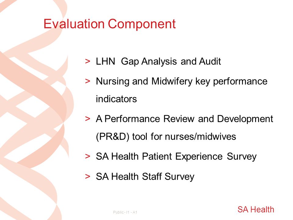 Evaluation Component LHN Gap Analysis and Audit