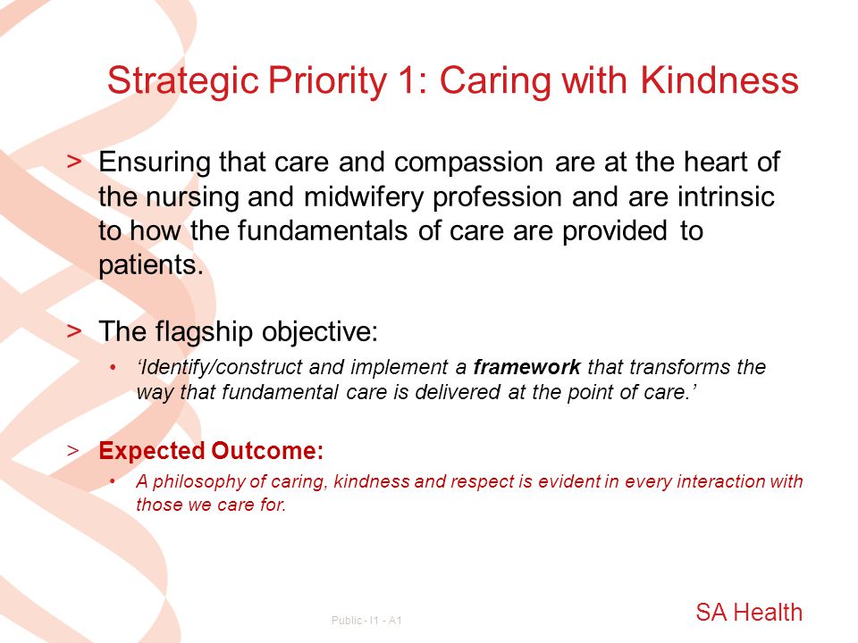 Strategic Priority 1: Caring with Kindness