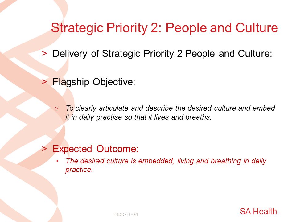 Strategic Priority 2: People and Culture