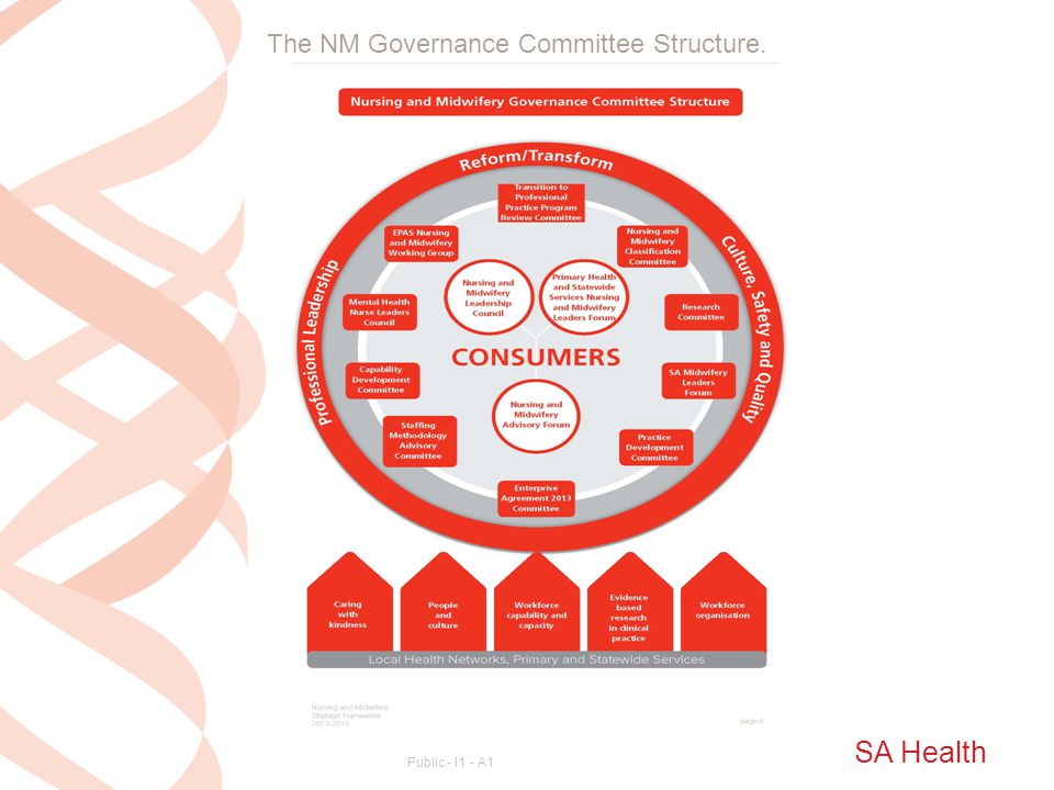 The NM Governance Committee Structure.