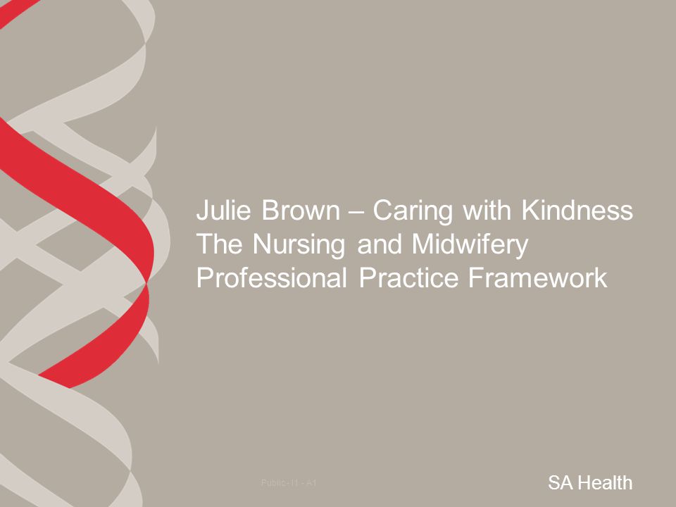 Julie Brown – Caring with Kindness The Nursing and Midwifery Professional Practice Framework