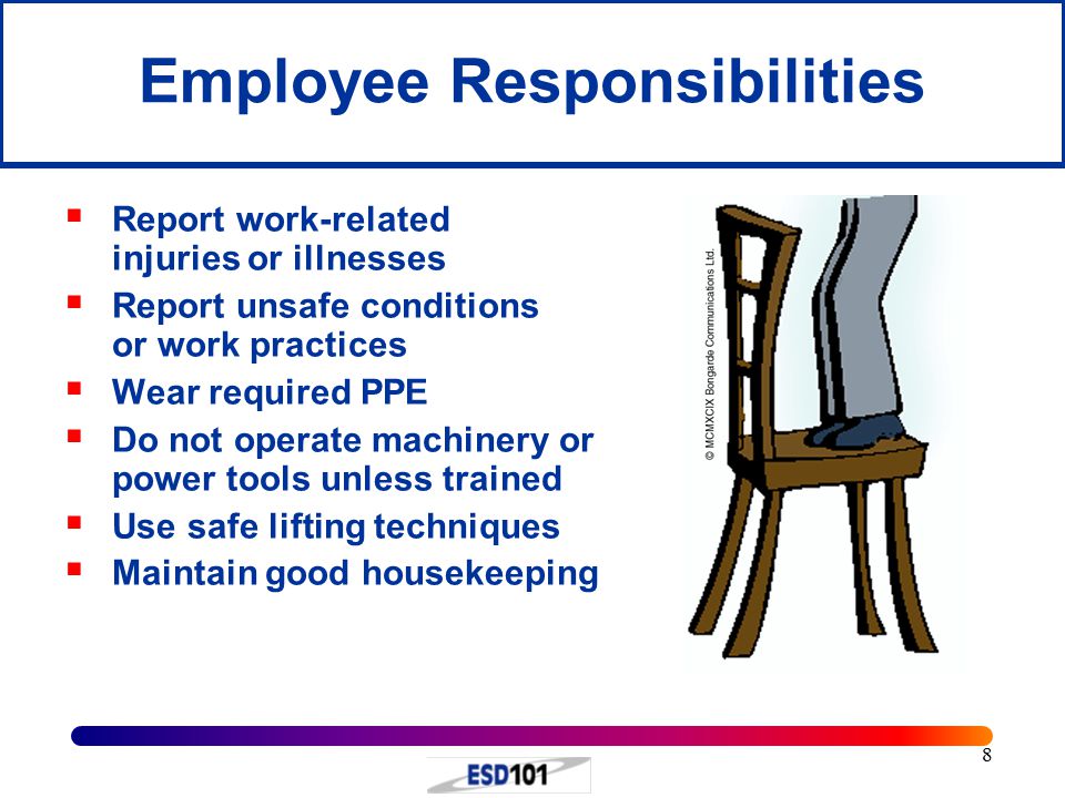 Employee Responsibilities