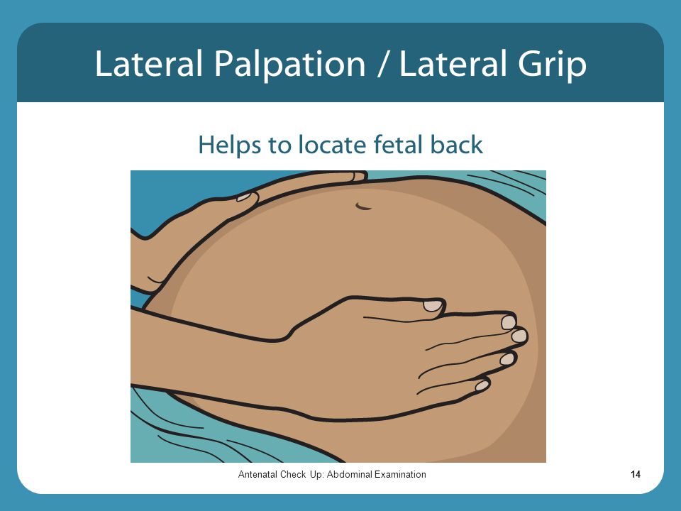 Lateral Palpation / Lateral Grip