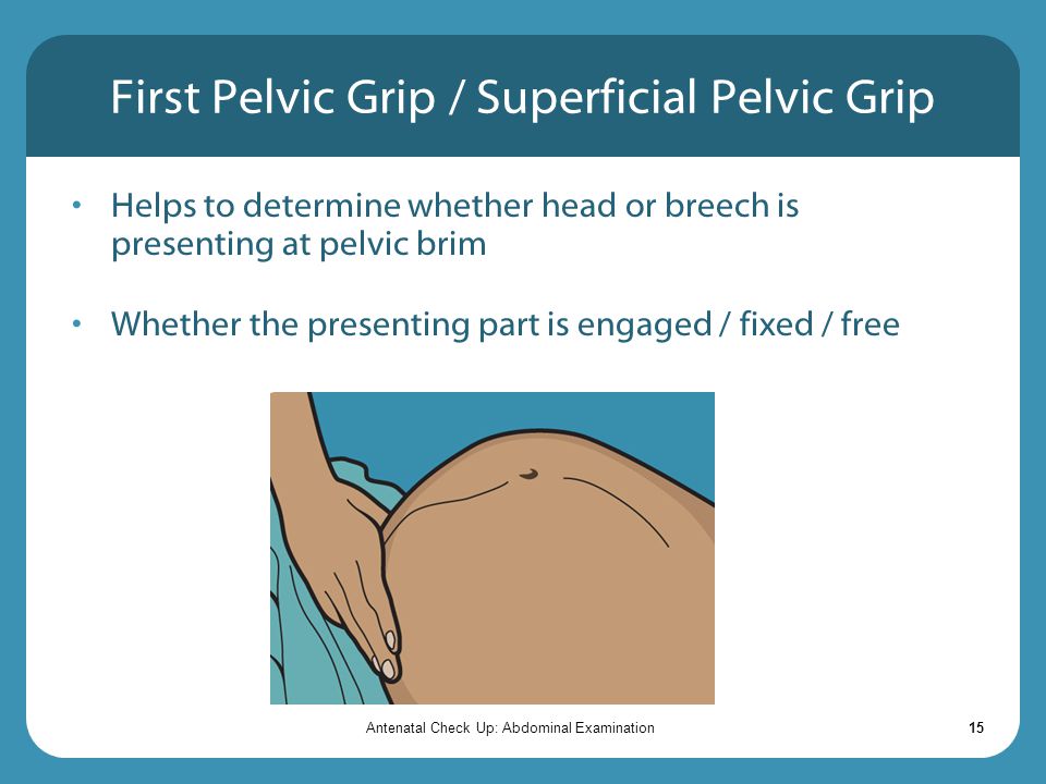 First Pelvic Grip / Superficial Pelvic Grip