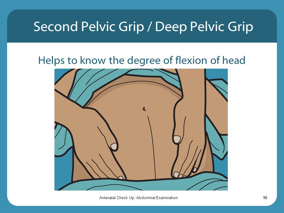 Second Pelvic Grip / Deep Pelvic Grip
