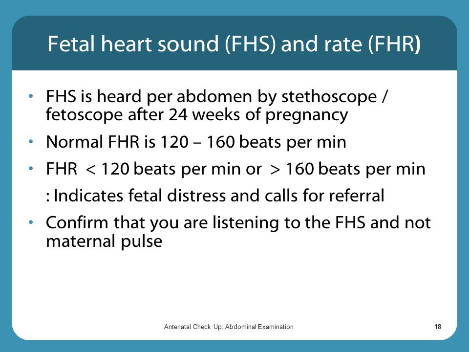 Fetal heart sound (FHS) and rate (FHR)