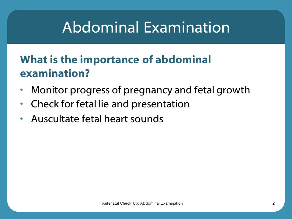 Abdominal Examination