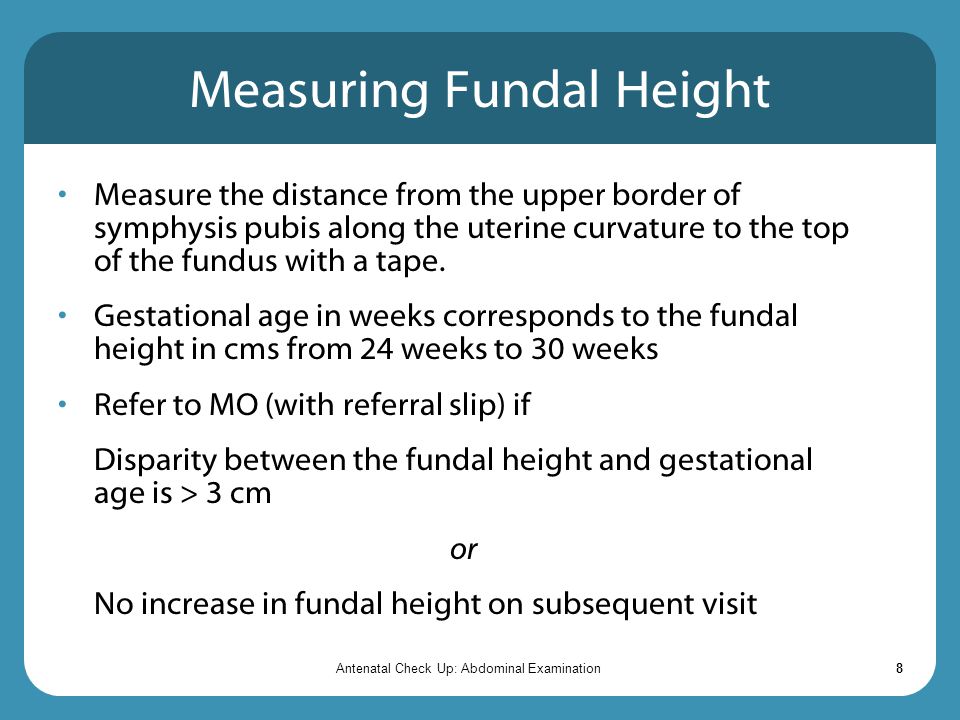 Measuring Fundal Height