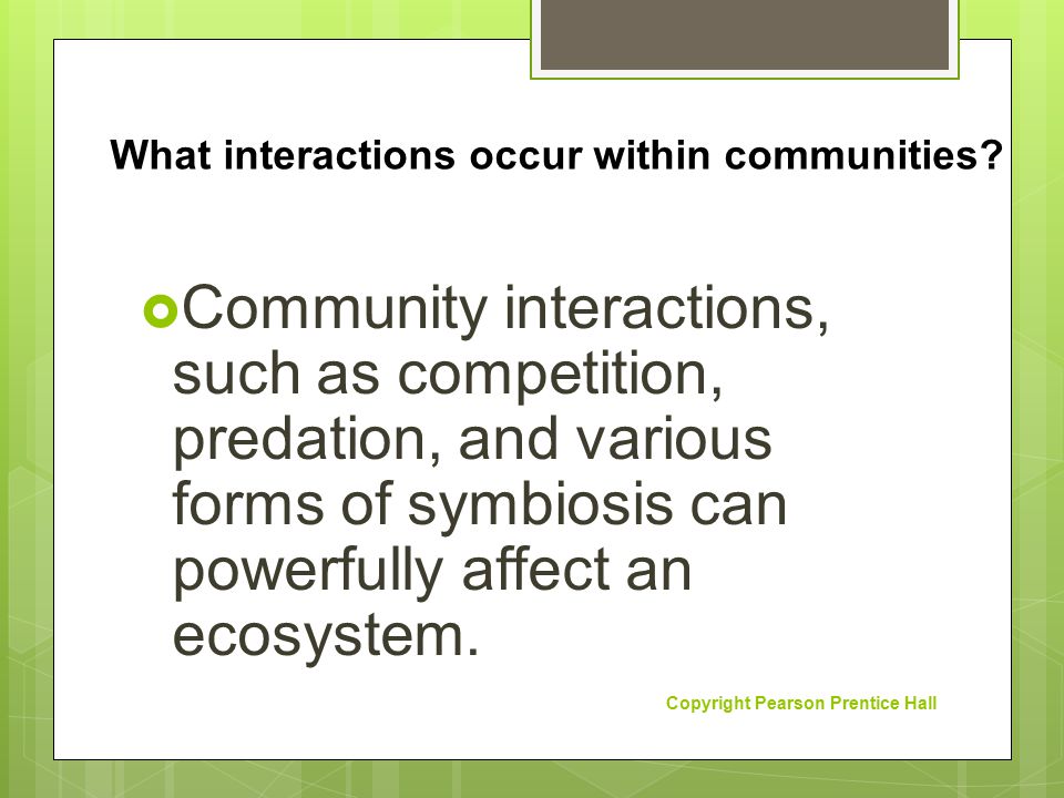 What interactions occur within communities