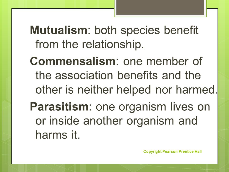 Mutualism: both species benefit from the relationship