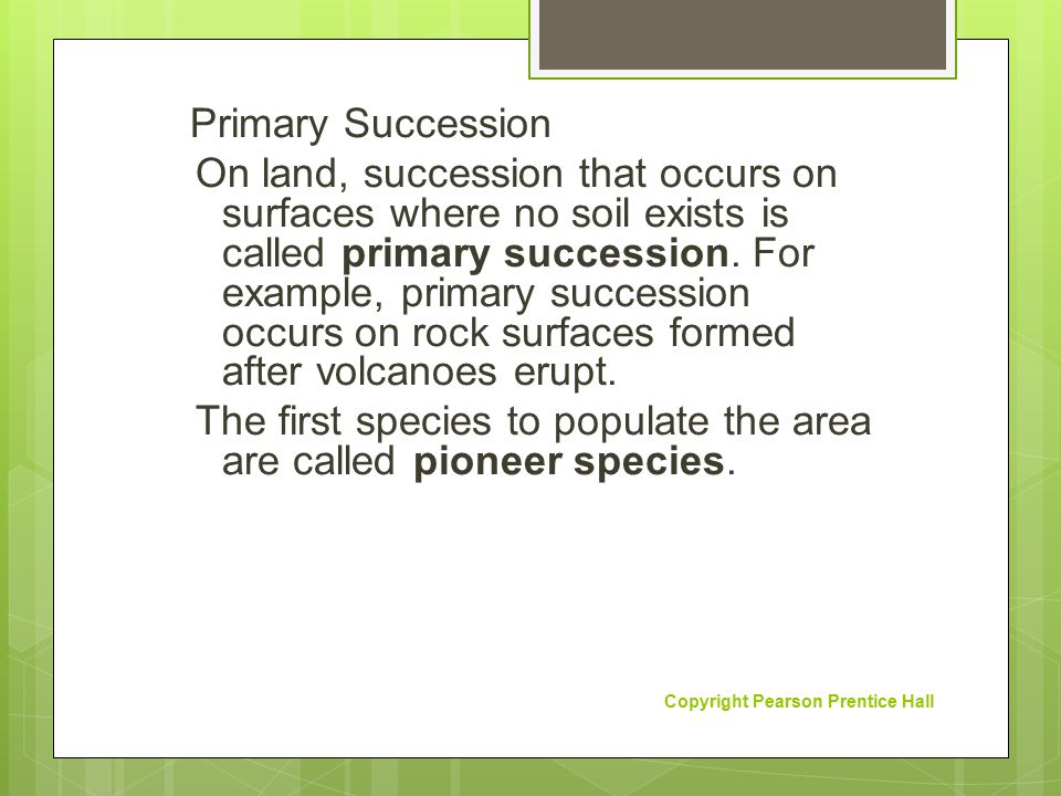 Primary Succession On land, succession that occurs on surfaces where no soil exists is called primary succession. For example, primary succession occurs on rock surfaces formed after volcanoes erupt. The first species to populate the area are called pioneer species.