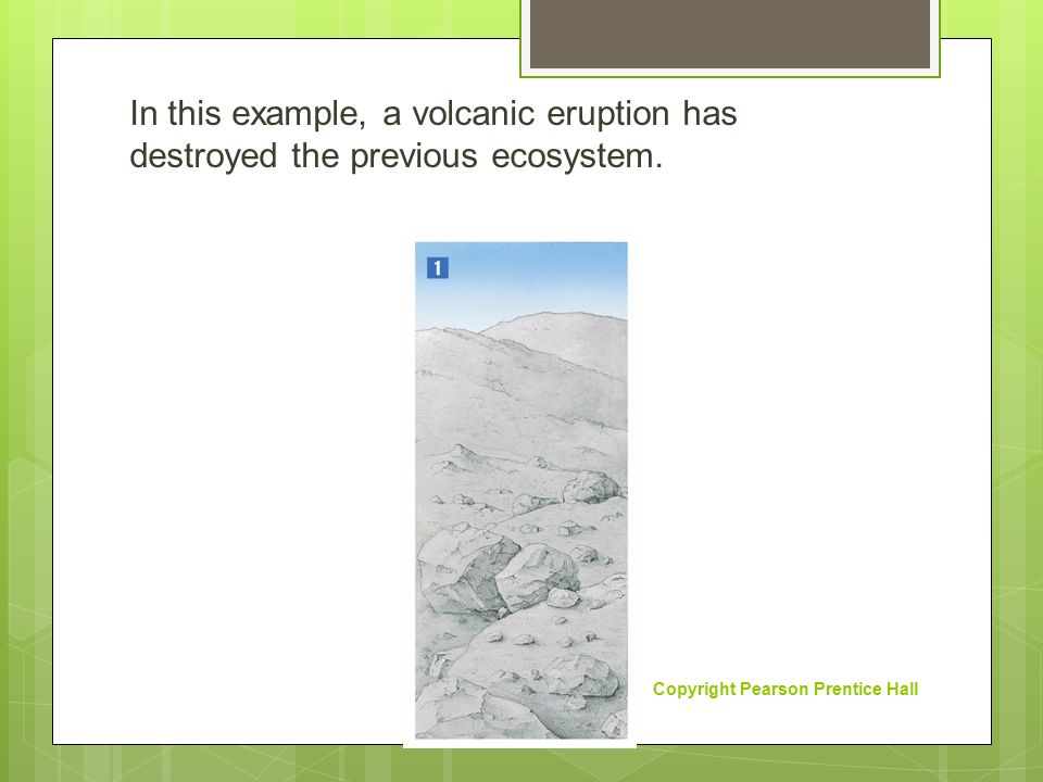 In this example, a volcanic eruption has destroyed the previous ecosystem.