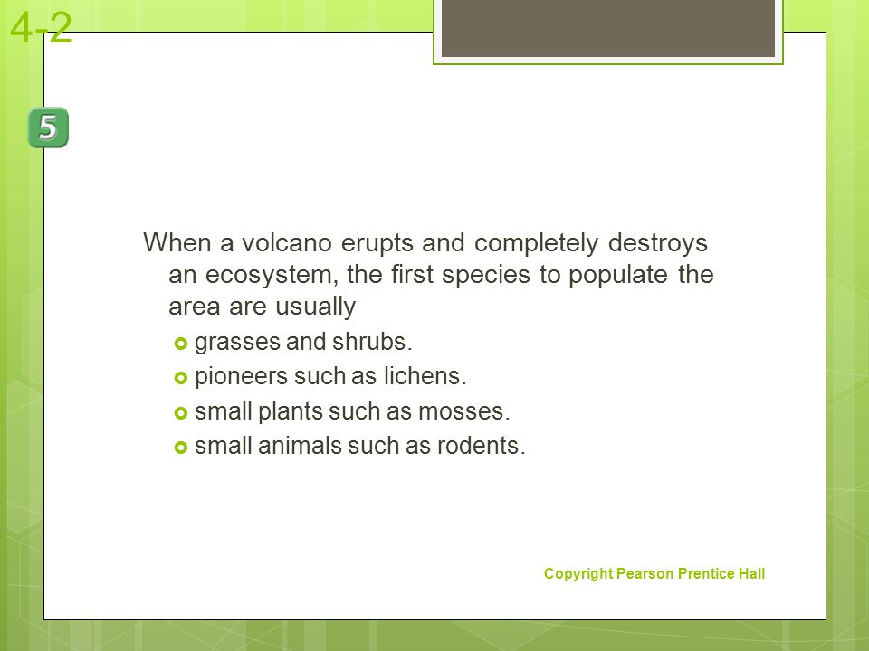 4-2 When a volcano erupts and completely destroys an ecosystem, the first species to populate the area are usually.