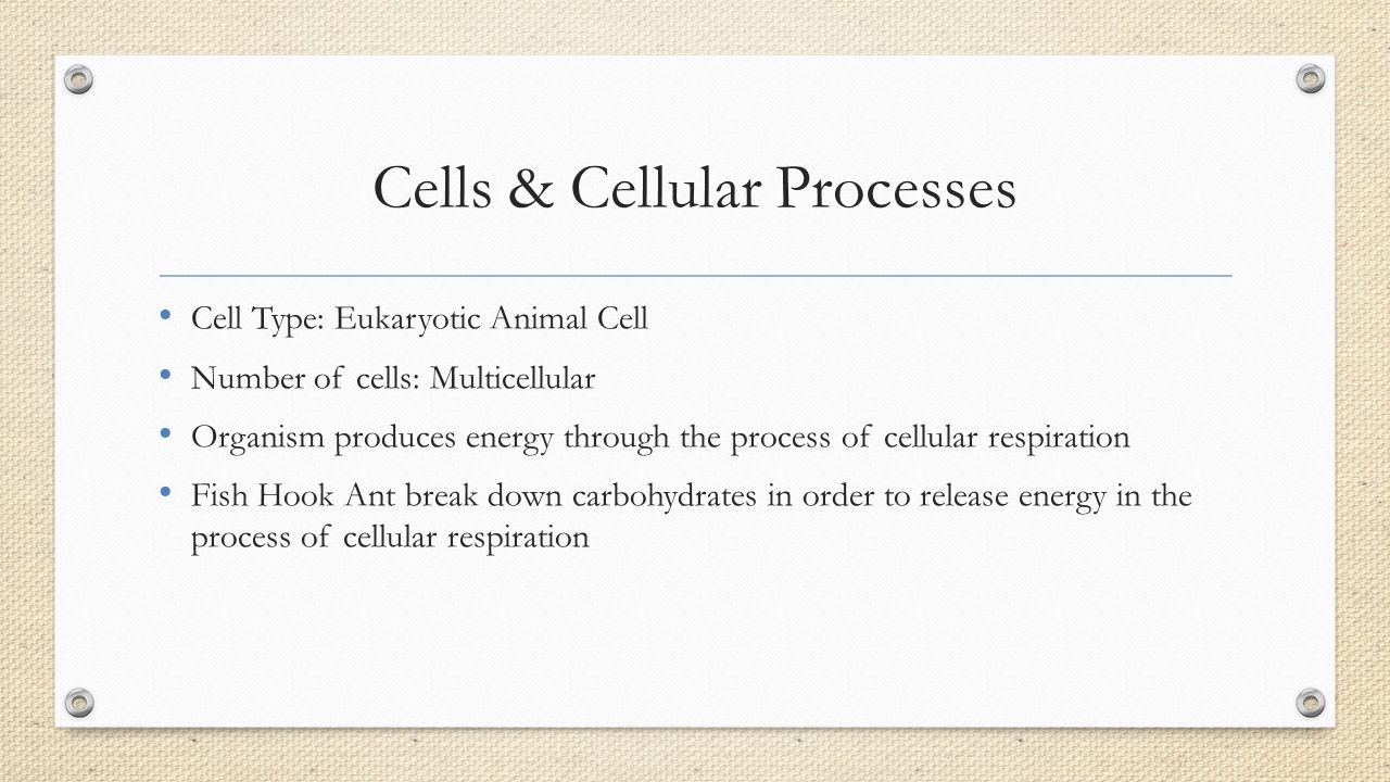 Cells & Cellular Processes
