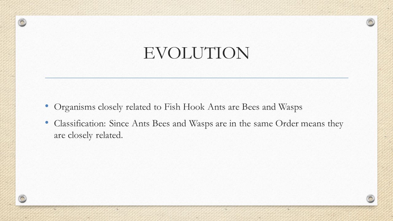 EVOLUTION Organisms closely related to Fish Hook Ants are Bees and Wasps.
