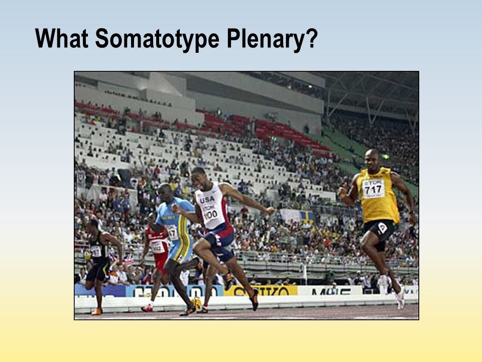 What Somatotype Plenary