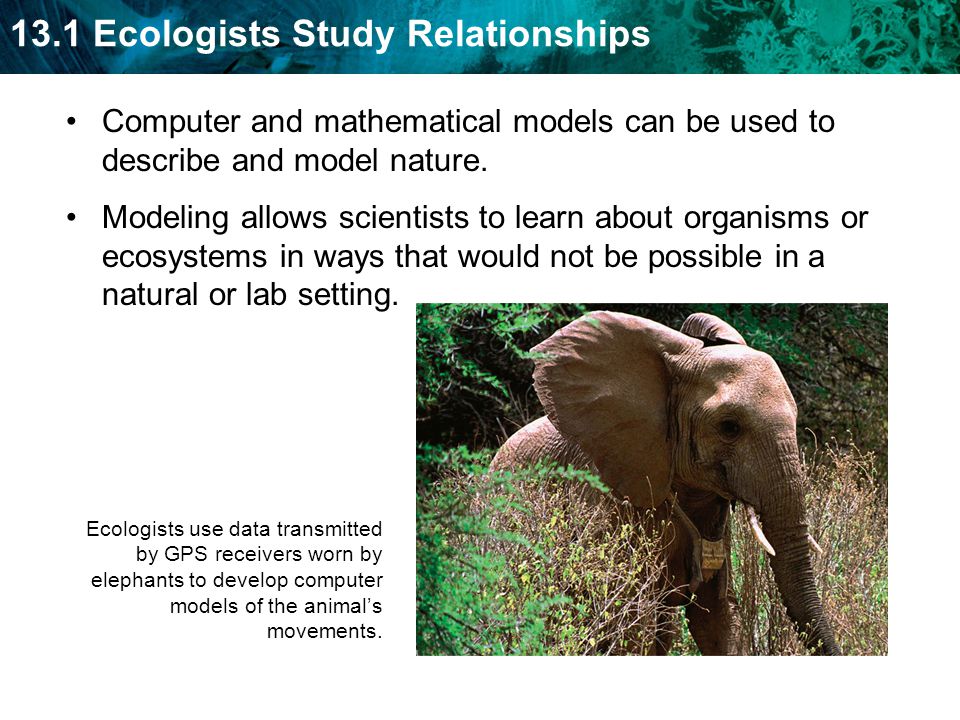 Computer and mathematical models can be used to describe and model nature.