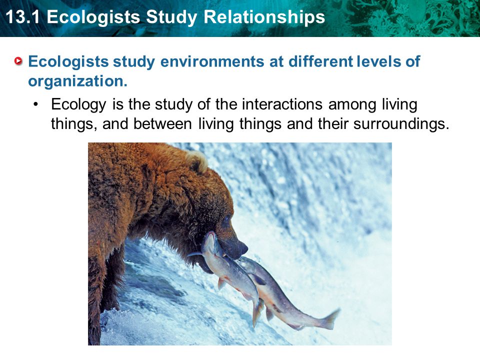 Ecologists study environments at different levels of organization.